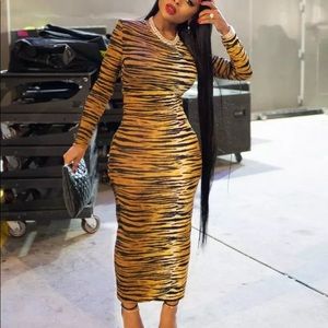 Long Sleeve Tiger Stripe Long Dress